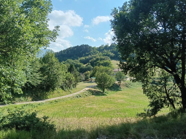 Terreno Agricolo in vendita a Montefortino