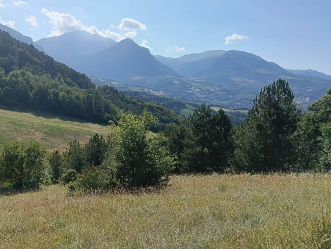 Terreno Agricolo in vendita a Montefortino