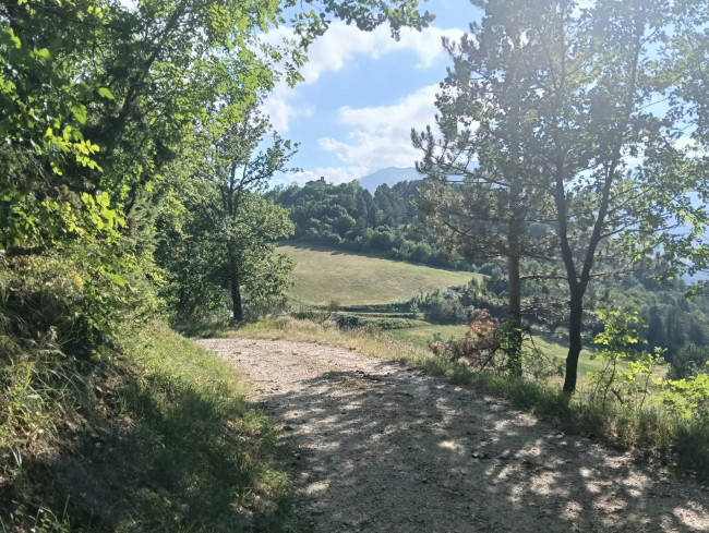 Terreno Agricolo in vendita a Montefortino