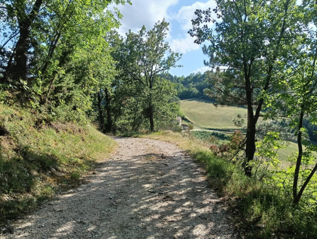 Terreno Agricolo in vendita a Montefortino