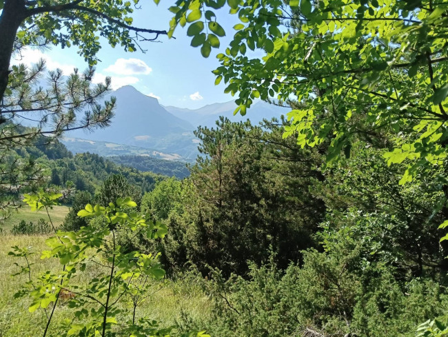 Terreno Agricolo in vendita a Montefortino