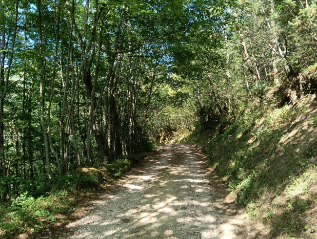Terreno Agricolo in vendita a Montefortino