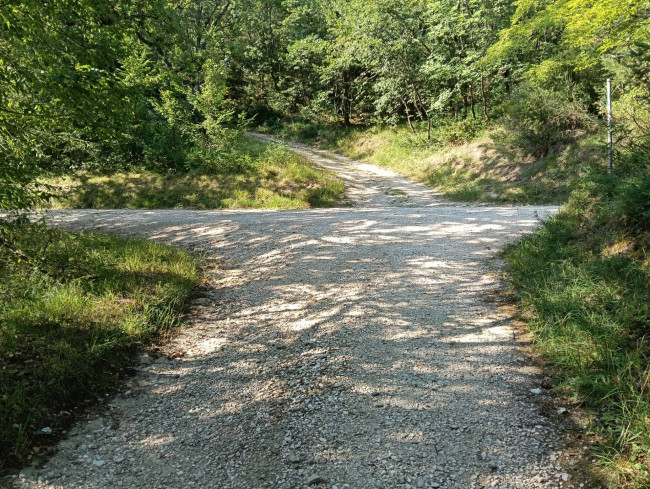 Terreno Agricolo in vendita a Montefortino