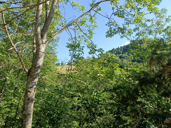Terreno Agricolo in vendita a Montefortino