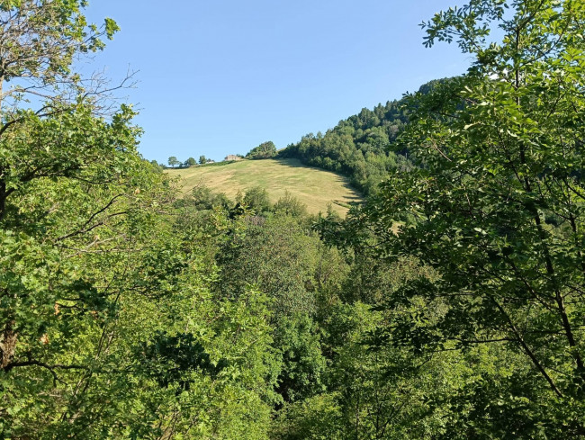 Terreno Agricolo in vendita a Montefortino