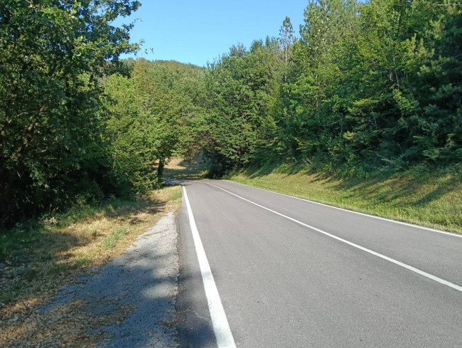 Terreno Agricolo in vendita a Montefortino