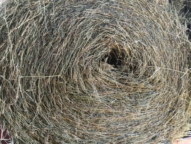 Terreno Agricolo in vendita a Montefortino