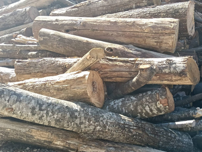 Terreno Agricolo in vendita a Montefortino
