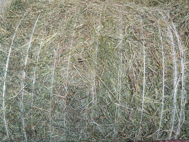 Terreno Agricolo in vendita a Montefortino