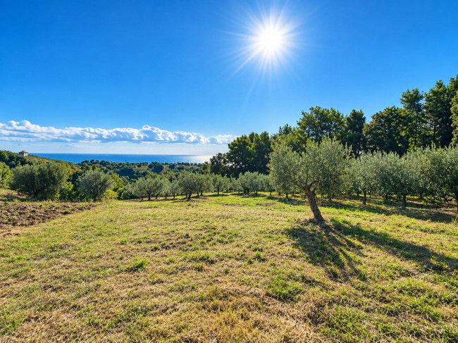 Terreno Agricolo (con / Senza Piccolo Prefabbricato) in vendita a Cupra Marittima