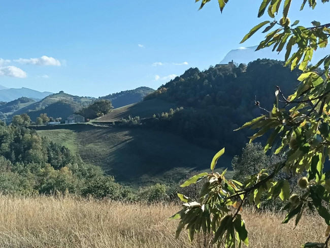 Terreno Agricolo in vendita a Montefortino