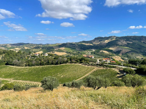 Terreno Agricolo in vendita a Ripatransone