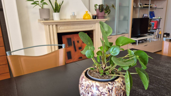 Appartamento in vendita a Colli del Tronto