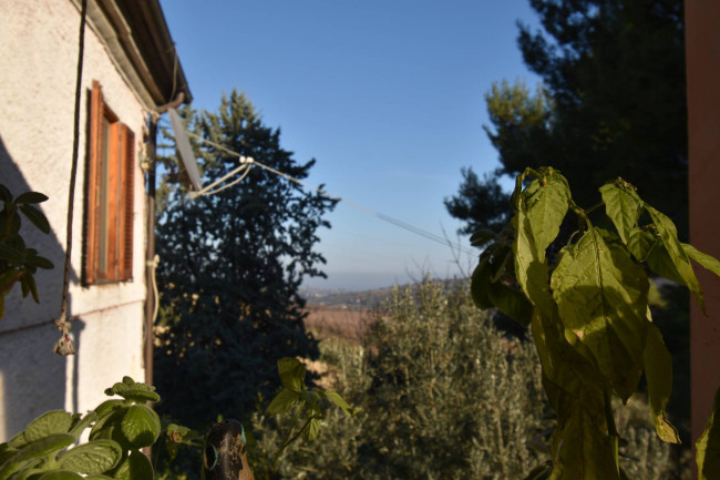 Casale Colonico Rustico in vendita a Ripatransone