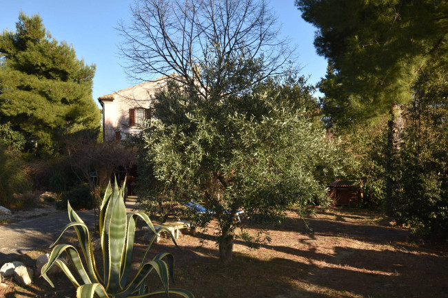 Casale Colonico Rustico in vendita a Ripatransone