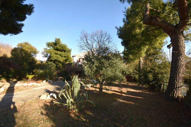 Casale Colonico Rustico in vendita a Ripatransone