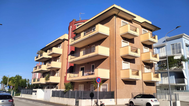 Appartamento in Affitto a Grottammare
