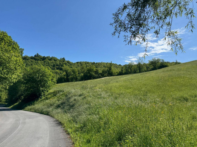 Terreno Agricolo in vendita a Montefortino