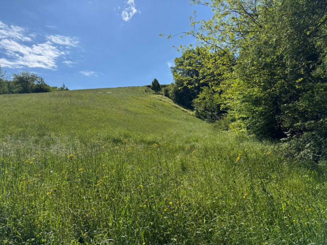 Terreno Agricolo in vendita a Montefortino