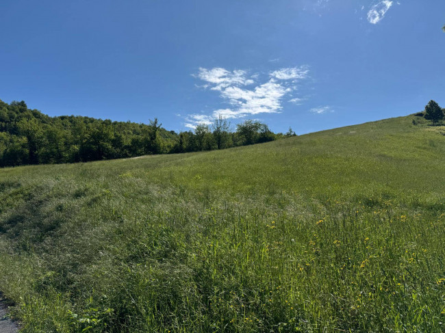 Terreno Agricolo in vendita a Montefortino