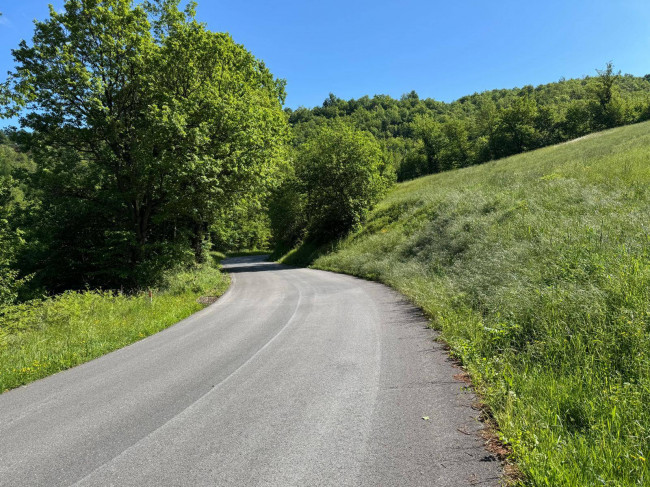 Terreno Agricolo in vendita a Montefortino