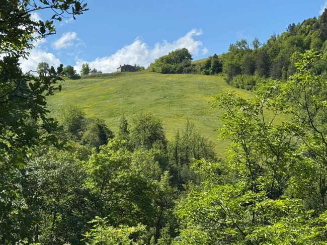 Terreno Agricolo in vendita a Montefortino