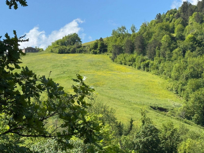 Terreno Agricolo in vendita a Montefortino