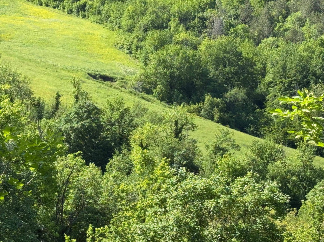 Terreno Agricolo in vendita a Montefortino