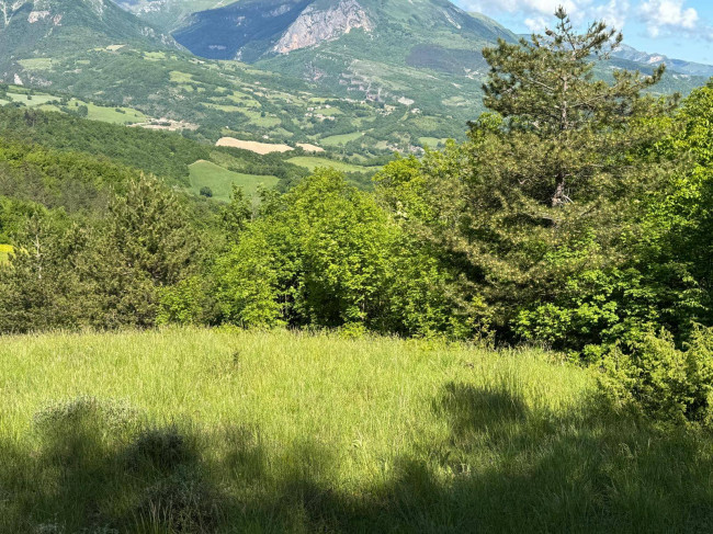 Terreno Agricolo in vendita a Montefortino