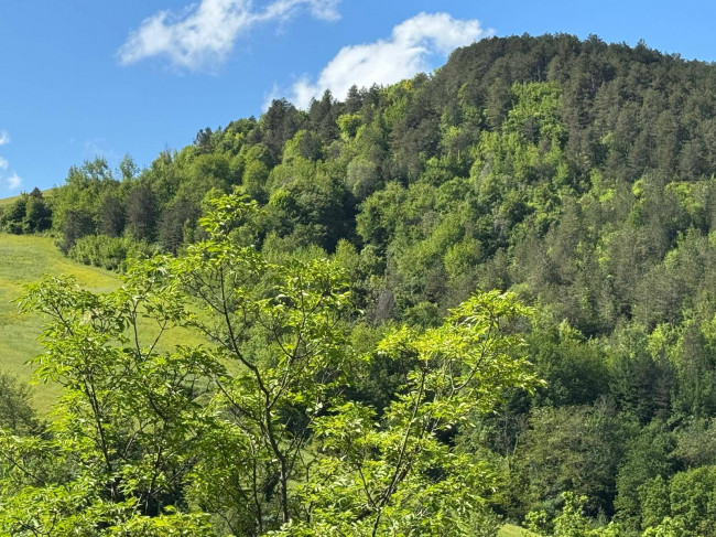 Terreno Agricolo in vendita a Montefortino