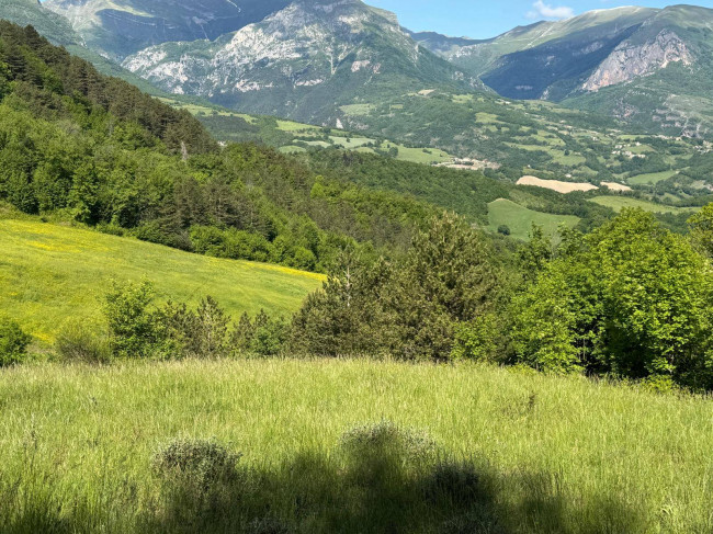 Terreno Agricolo in vendita a Montefortino