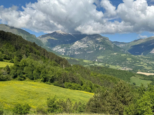 Terreno Agricolo in vendita a Montefortino