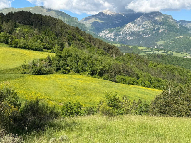Terreno Agricolo in vendita a Montefortino