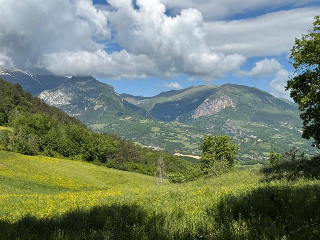 Terreno Agricolo in vendita a Montefortino