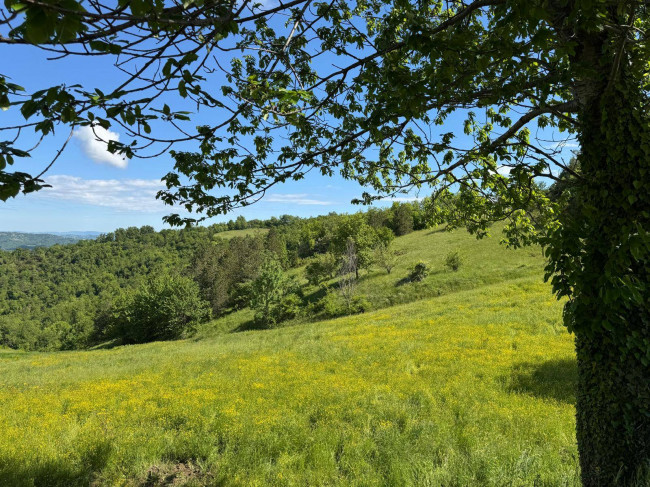Terreno Agricolo in vendita a Montefortino
