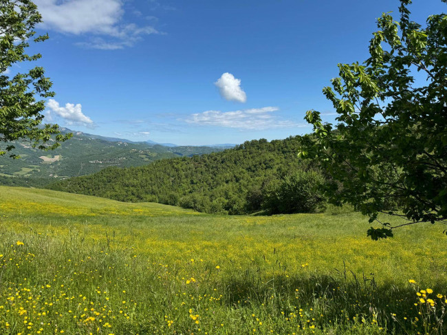 Terreno Agricolo in vendita a Montefortino