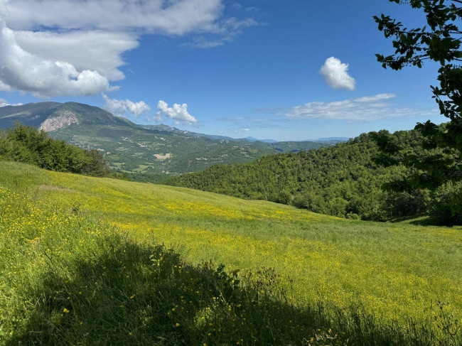Terreno Agricolo in vendita a Montefortino