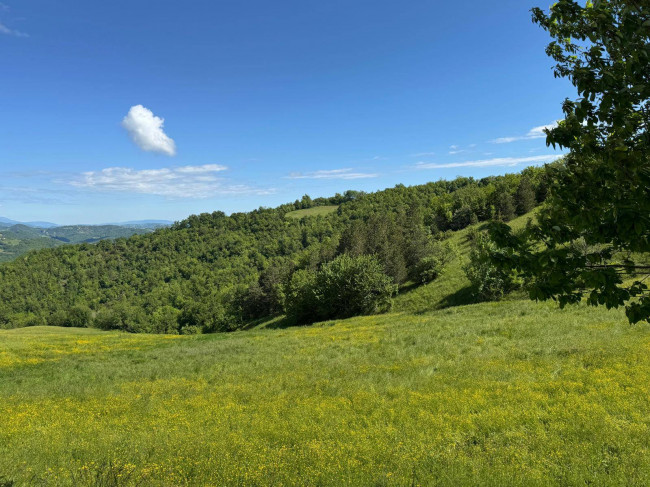 Terreno Agricolo in vendita a Montefortino