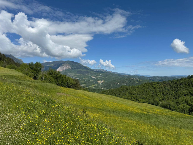 Terreno Agricolo in vendita a Montefortino