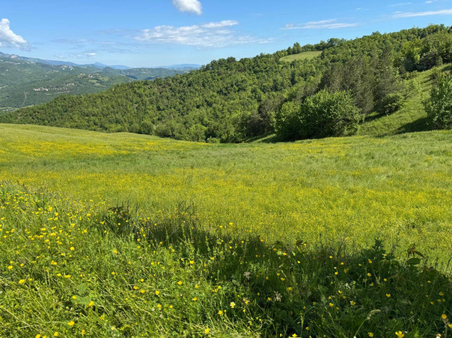 Terreno Agricolo in vendita a Montefortino