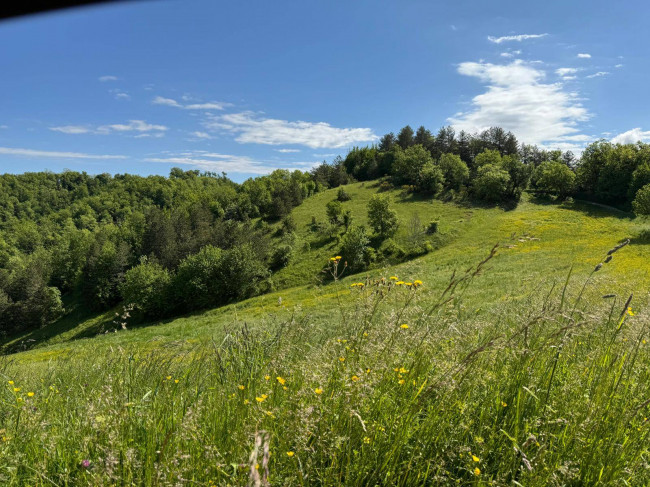 Terreno Agricolo in vendita a Montefortino