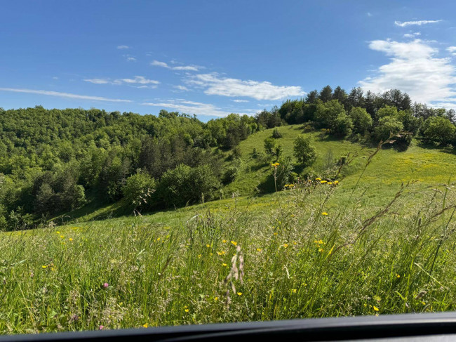 Terreno Agricolo in vendita a Montefortino