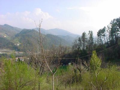 Villa singola in vendita a Ascoli Piceno