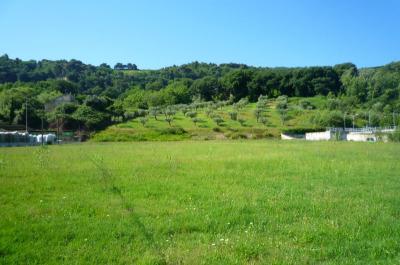 Terreno Agricolo (con / Senza Piccolo Prefabbricato) in affitto a Grottammare