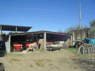 Terreno Agricolo (con / Senza Piccolo Prefabbricato) in vendita a Offida