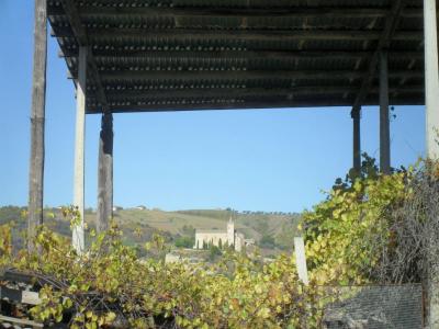 Terreno Agricolo (con / Senza Piccolo Prefabbricato) in vendita a Offida