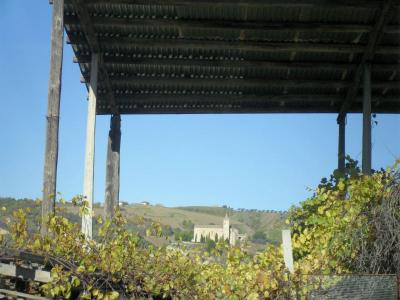 Terreno Agricolo (con / Senza Piccolo Prefabbricato) in vendita a Offida