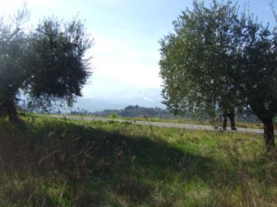 Terreno Edificabile Residenziale in vendita a Castel di Lama