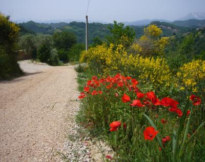 Casale Colonico in vendita a Ascoli Piceno