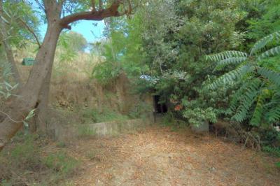 Casale Colonico in vendita a Cupra Marittima